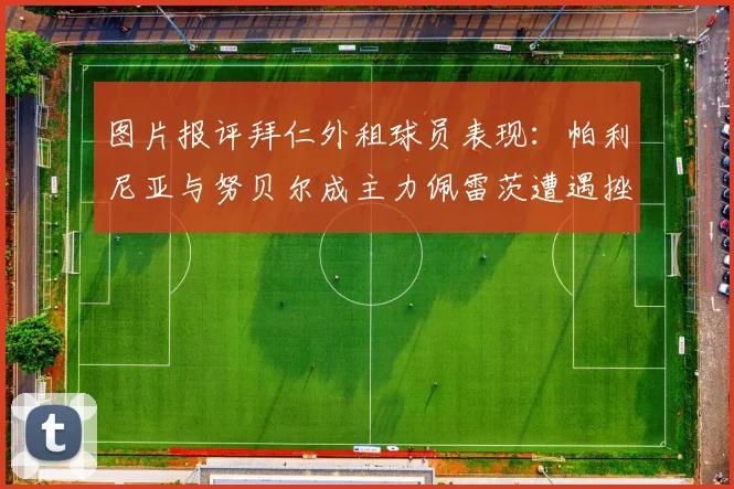 图片报评拜仁外租球员表现：帕利尼亚与努贝尔成主力佩雷茨遭遇挫折